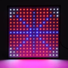 225 Blu Red Org Wht LED Grow Light UT