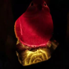Solar Thrush Bird Ground Lamp Resin Crafts Garden Lawn (Color: )